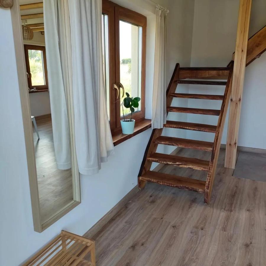Leszczynowe Zacisze Villa Wiele Exterior photo